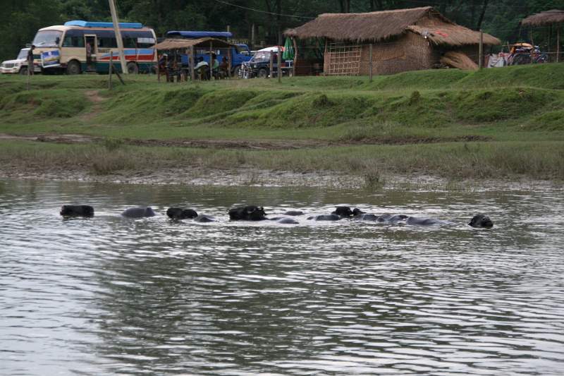 India & Nepal 2011 - 0607